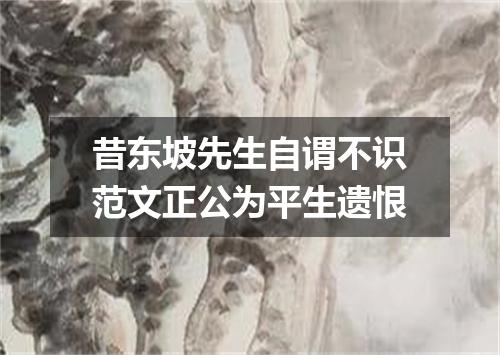 昔东坡先生自谓不识范文正公为平生遗恨