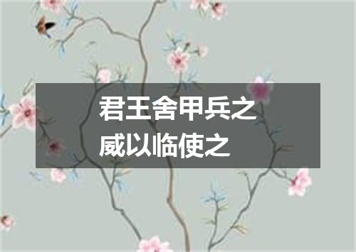 君王舍甲兵之威以临使之