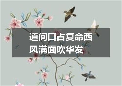道间口占复命西风满面吹华发