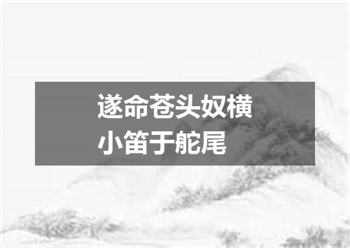 遂命苍头奴横小笛于舵尾