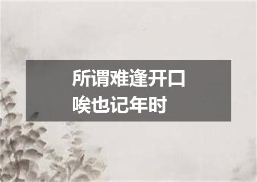 所谓难逢开口唉也记年时