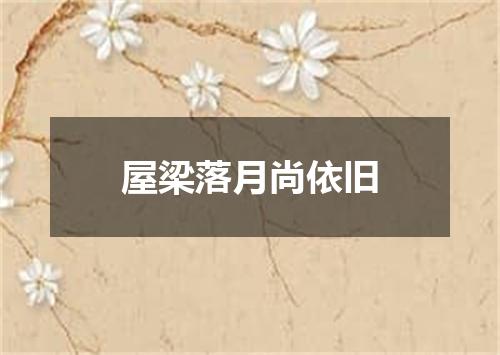 屋梁落月尚依旧
