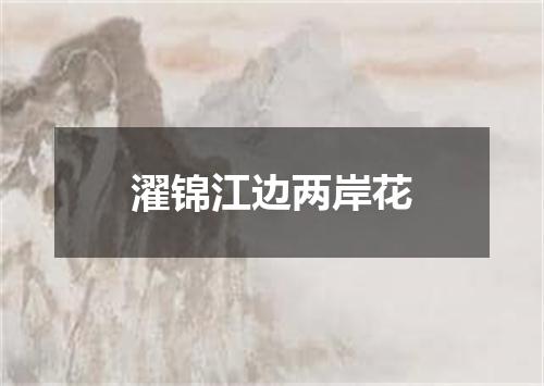 濯锦江边两岸花