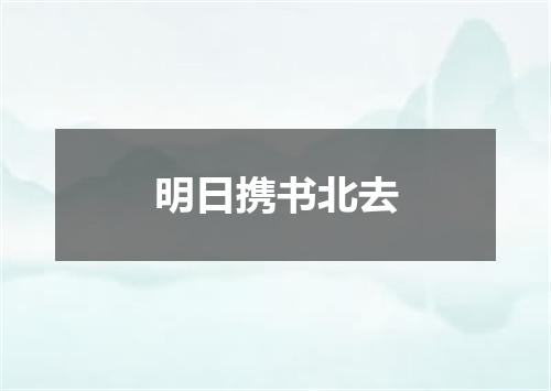 明日携书北去