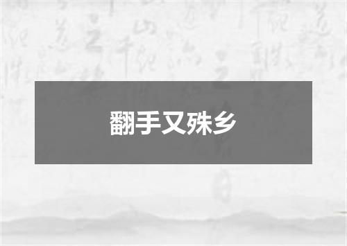 翻手又殊乡