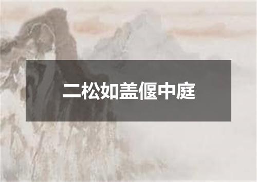 二松如盖偃中庭