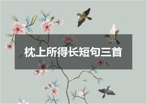 枕上所得长短句三首
