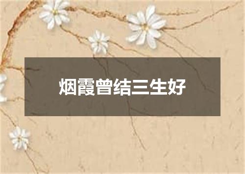 烟霞曾结三生好