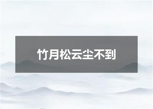 竹月松云尘不到