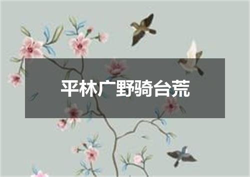平林广野骑台荒