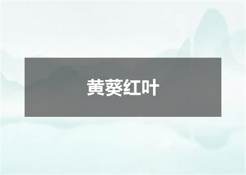 黄葵红叶