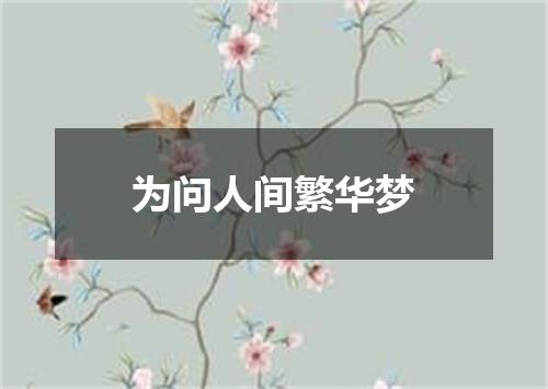 为问人间繁华梦