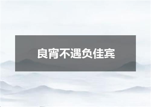 良宵不遇负佳宾