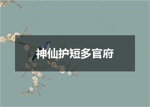 神仙护短多官府