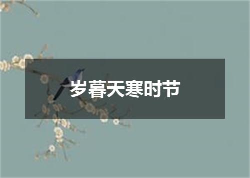 岁暮天寒时节