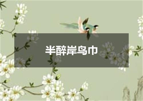 半醉岸鸟巾