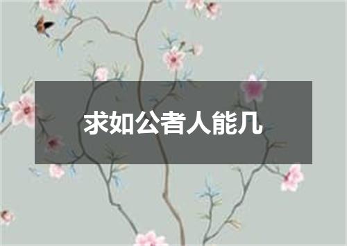 求如公者人能几
