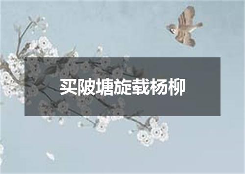 买陂塘旋载杨柳