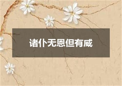 诸仆无恩但有威