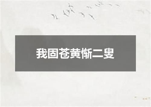 我固苍黄惭二叟