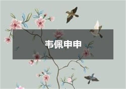韦佩申申
