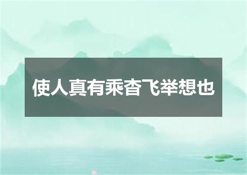 使人真有乘杳飞举想也