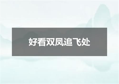 好看双凤追飞处