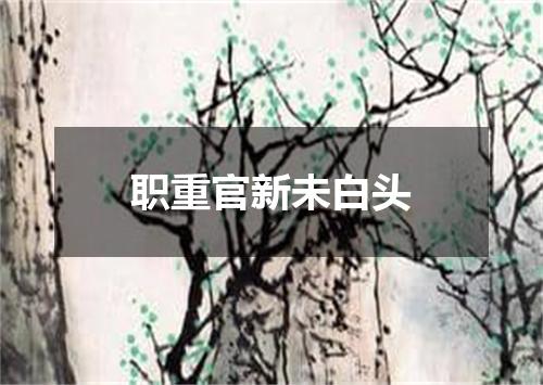 职重官新未白头