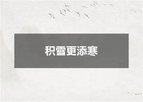 积雪更添寒