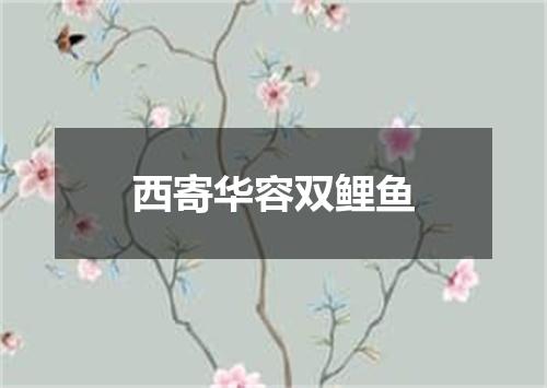 西寄华容双鲤鱼