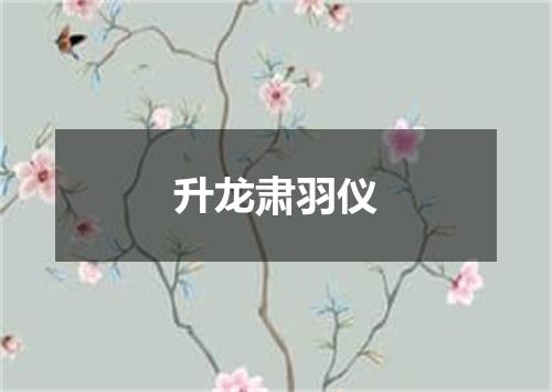 升龙肃羽仪