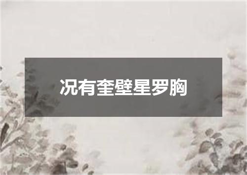 况有奎壁星罗胸