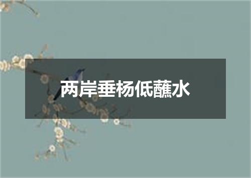 两岸垂杨低蘸水