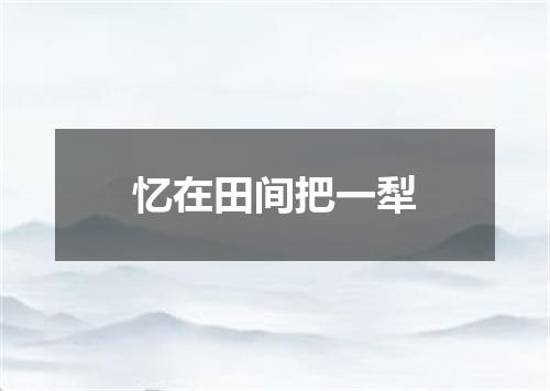 忆在田间把一犁