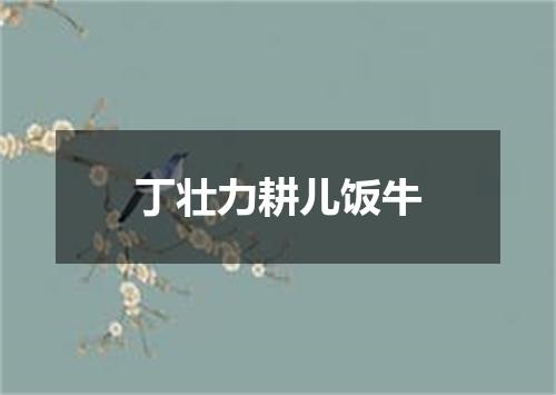 丁壮力耕儿饭牛