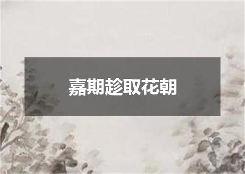 嘉期趁取花朝