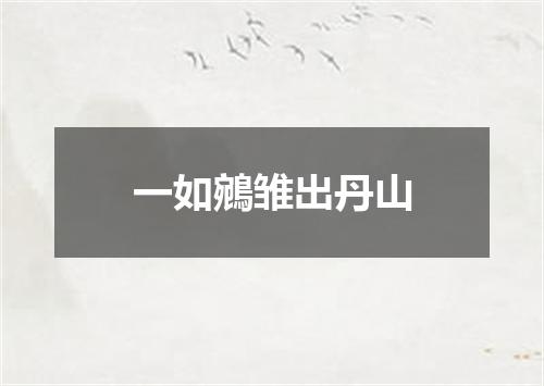 一如鵷雏出丹山