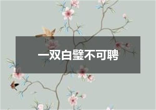 一双白璧不可聘