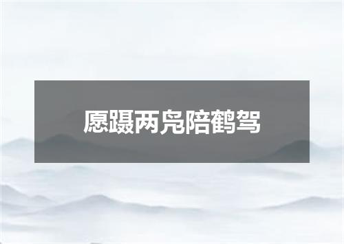 愿蹑两凫陪鹤驾