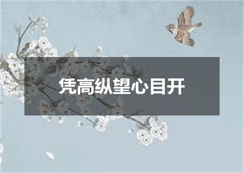 凭高纵望心目开