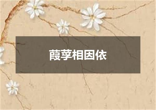 葭莩相因依