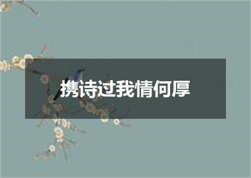 携诗过我情何厚