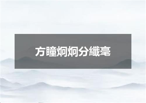 方瞳炯炯分纖毫