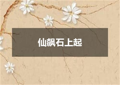 仙飙石上起