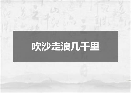 吹沙走浪几千里