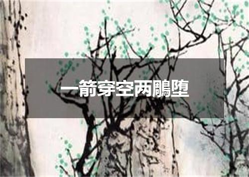 一箭穿空两鵰堕