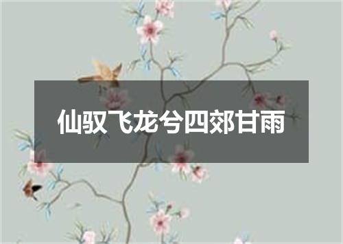 仙驭飞龙兮四郊甘雨