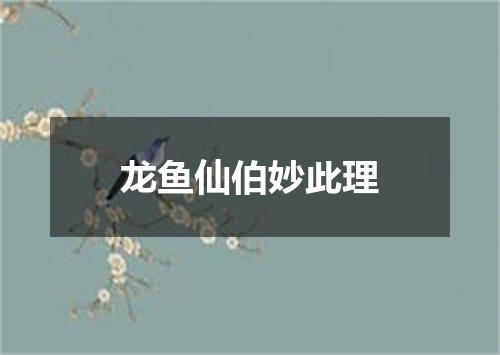 龙鱼仙伯妙此理