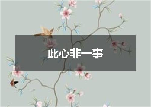 此心非一事