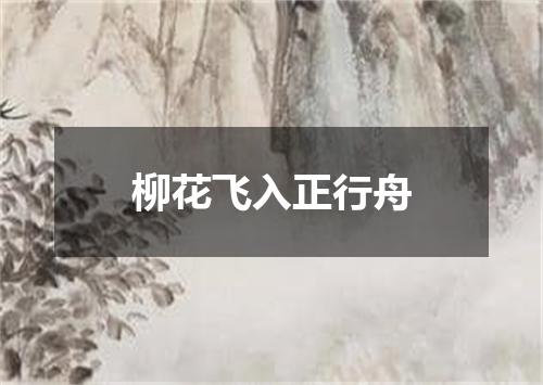 柳花飞入正行舟